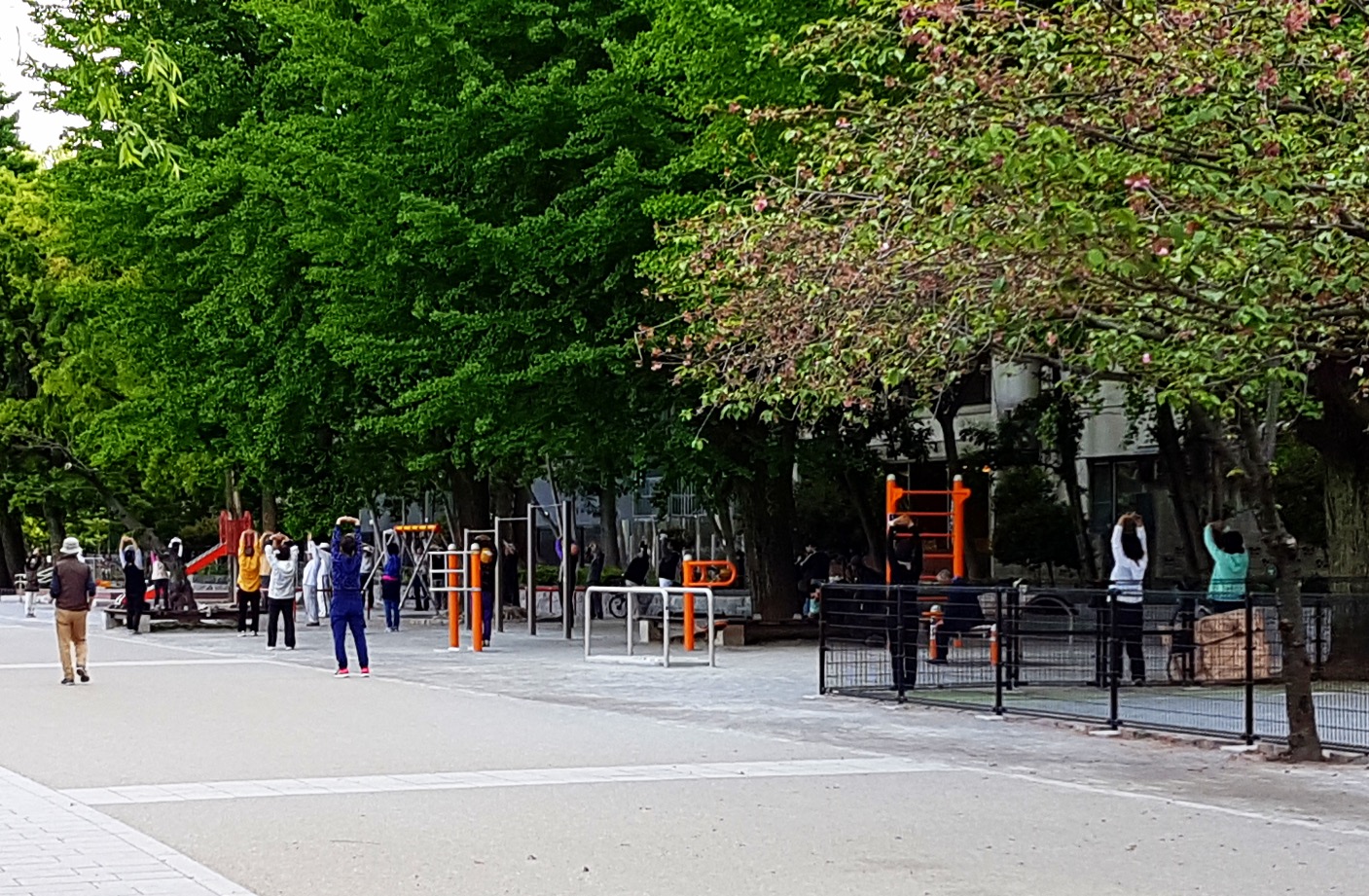 20170504_070826_edited