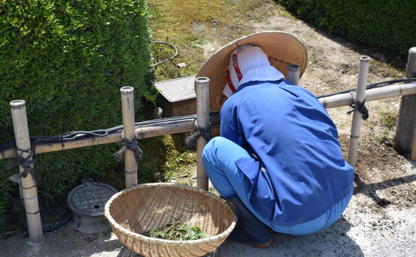 Om at gøre sig&nbsp;umage